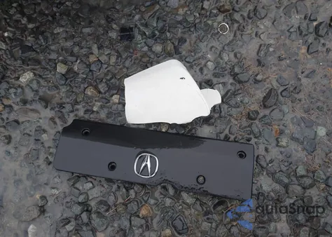 2004 Acura Tsx from USA, damaged, VIN JH4CL95874C025598